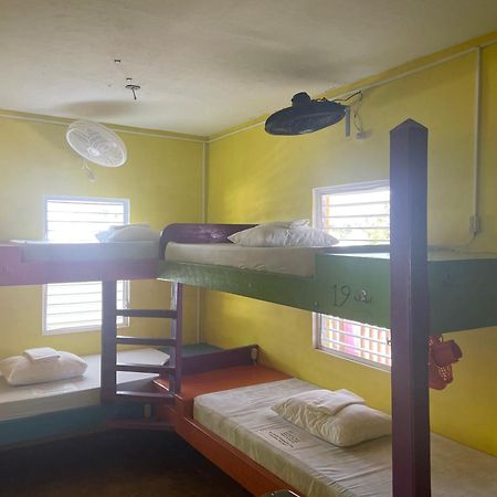 Hostel Travellers Palm Backpackers Caye Caulker Zewnętrze zdjęcie