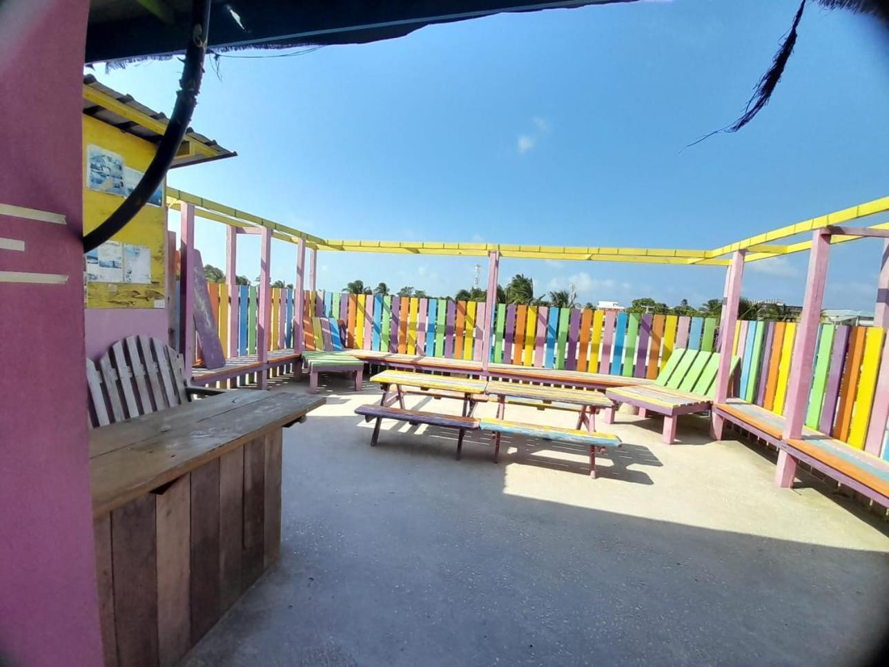 Hostel Travellers Palm Backpackers Caye Caulker Zewnętrze zdjęcie
