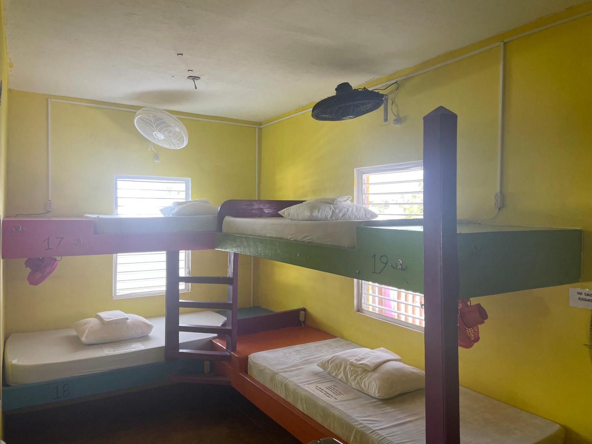 Hostel Travellers Palm Backpackers Caye Caulker Zewnętrze zdjęcie
