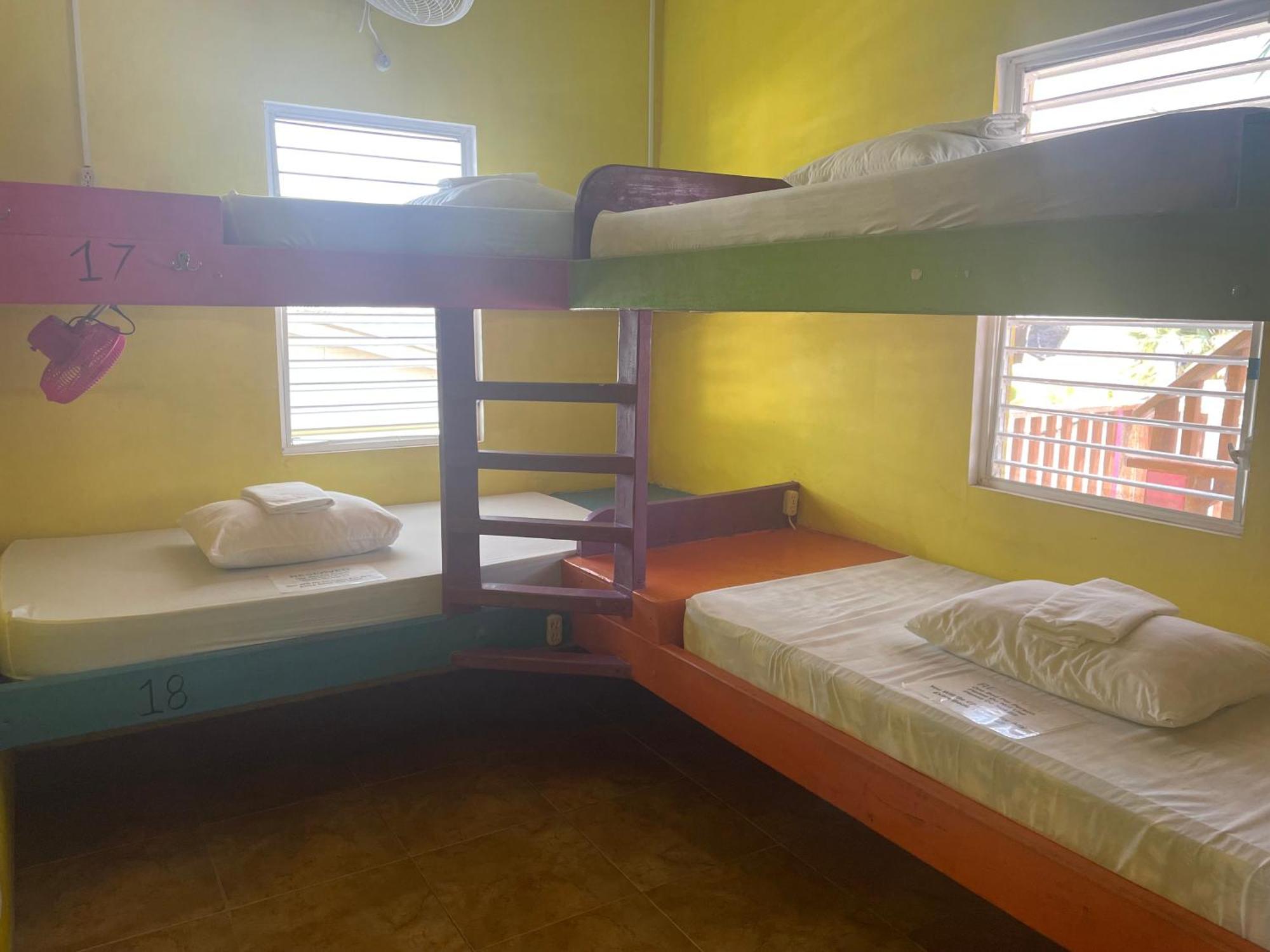 Hostel Travellers Palm Backpackers Caye Caulker Zewnętrze zdjęcie