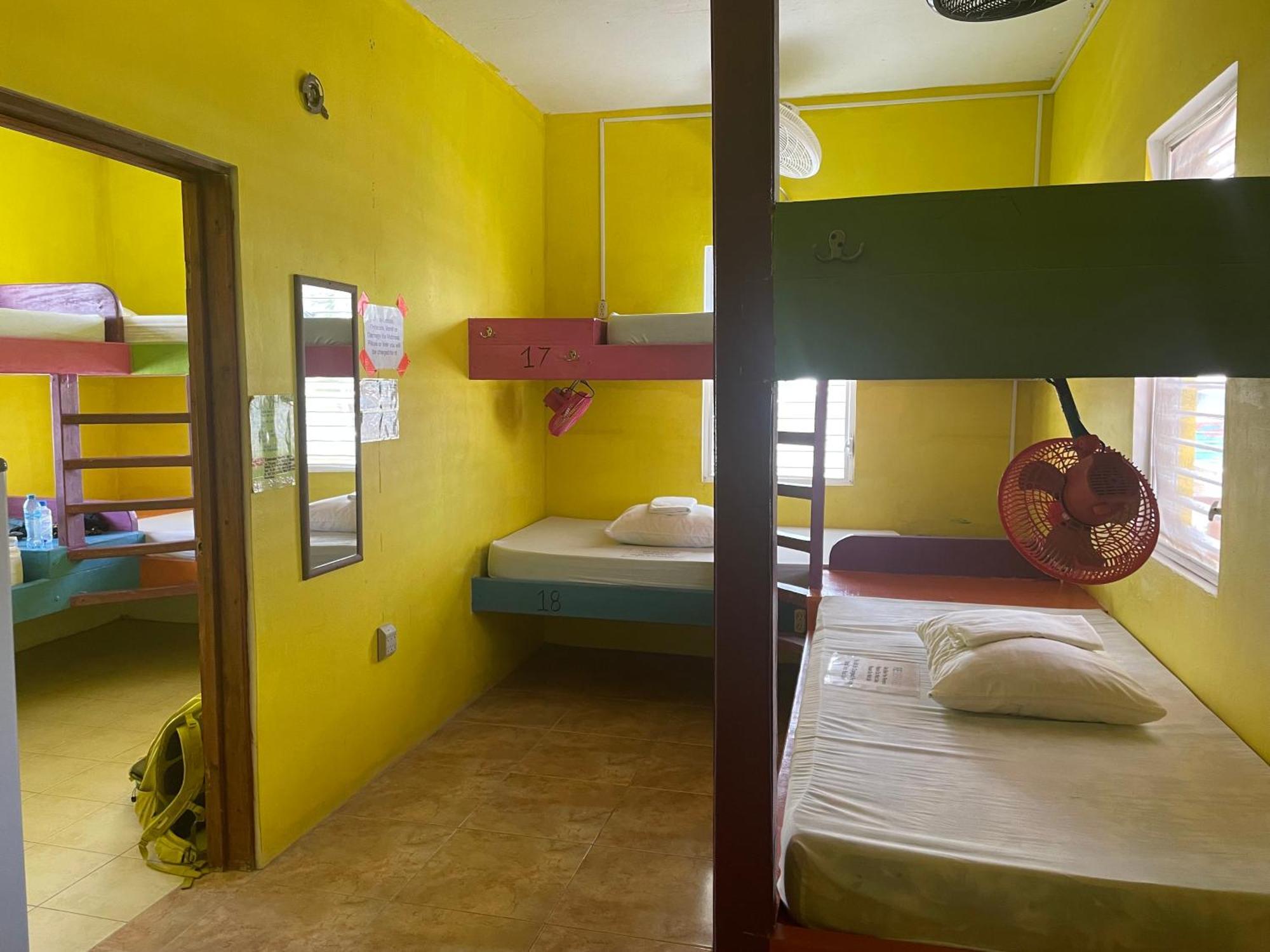 Hostel Travellers Palm Backpackers Caye Caulker Zewnętrze zdjęcie